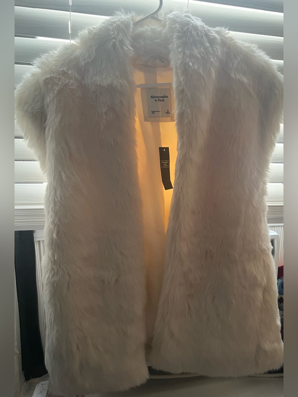 Abercrombie & Fitch Vest